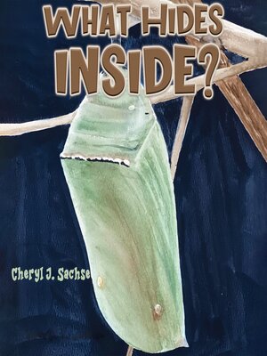 cover image of What Hides Inside?